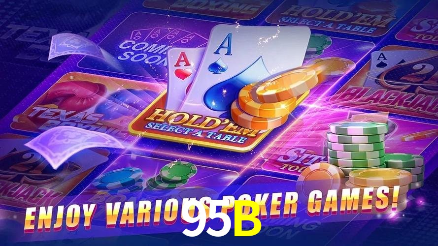 Sistemas de Segurança 95B